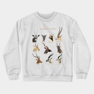 Antelopes in Africa Crewneck Sweatshirt